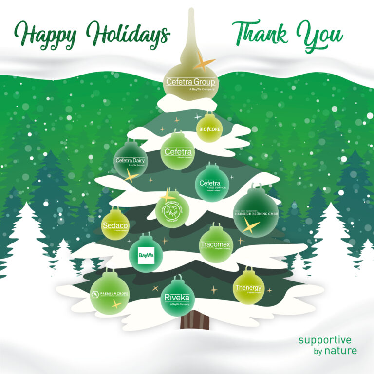 CefetraGroup_Kerstkaart-22 CefetraGroup_Kerstkaart-22