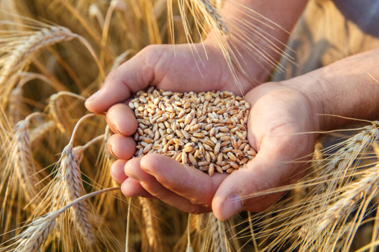 Agricultural ingredients