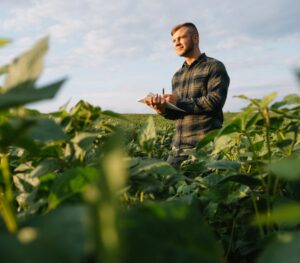 Man in a crops field