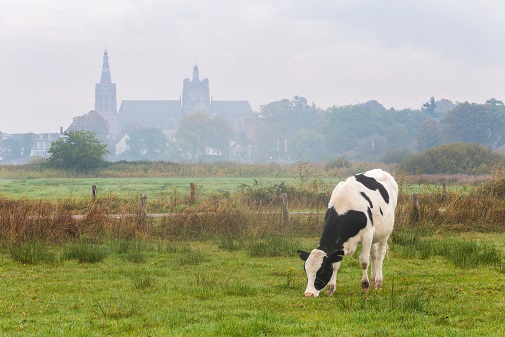 Foodbusiness with Peter ten Kate of Cefetra Dairy B.V.