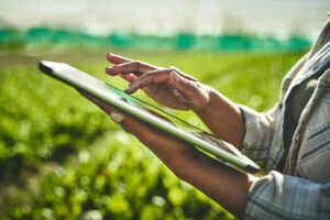 Woman in iPad in crop field