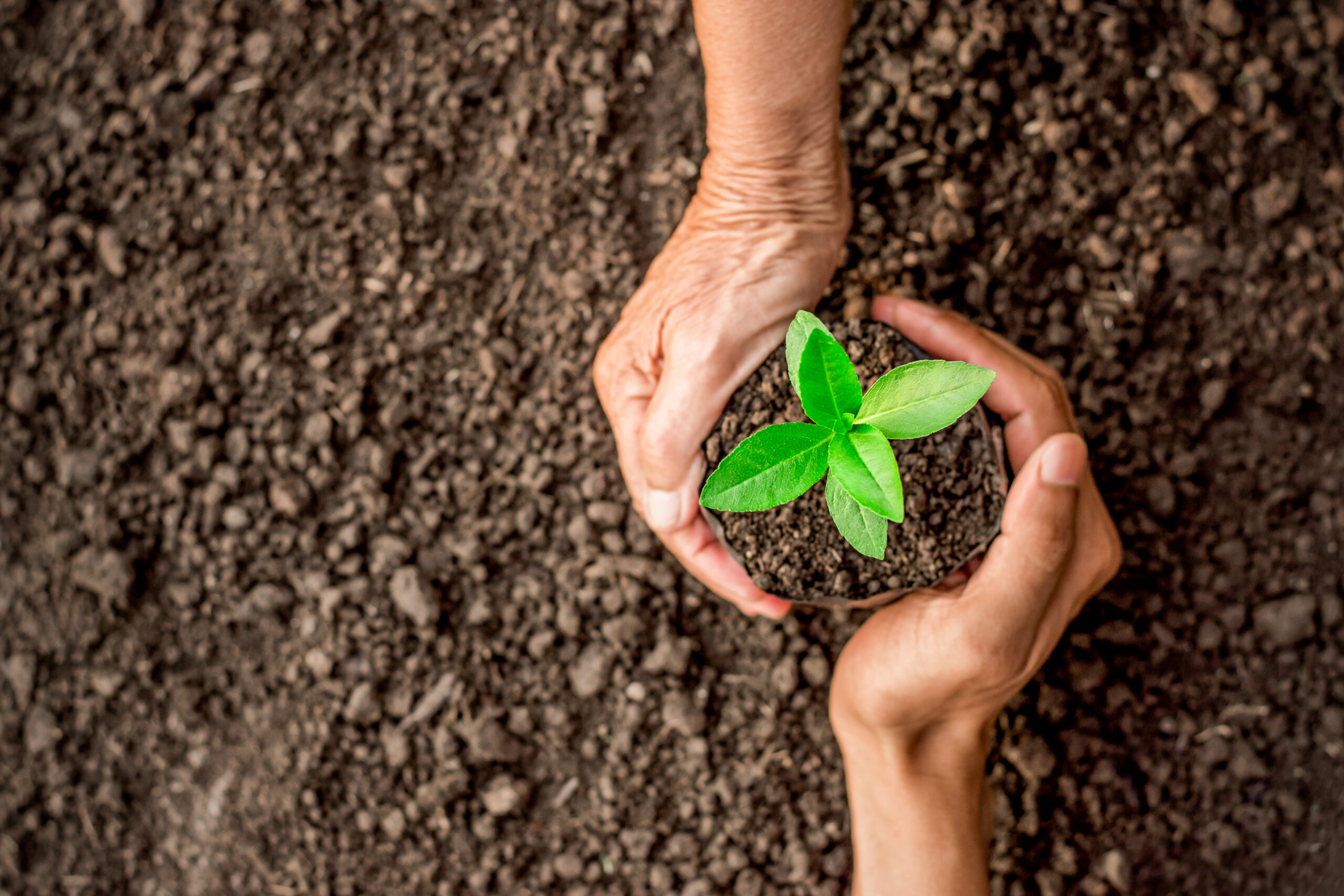 Meet the team | Sustainability