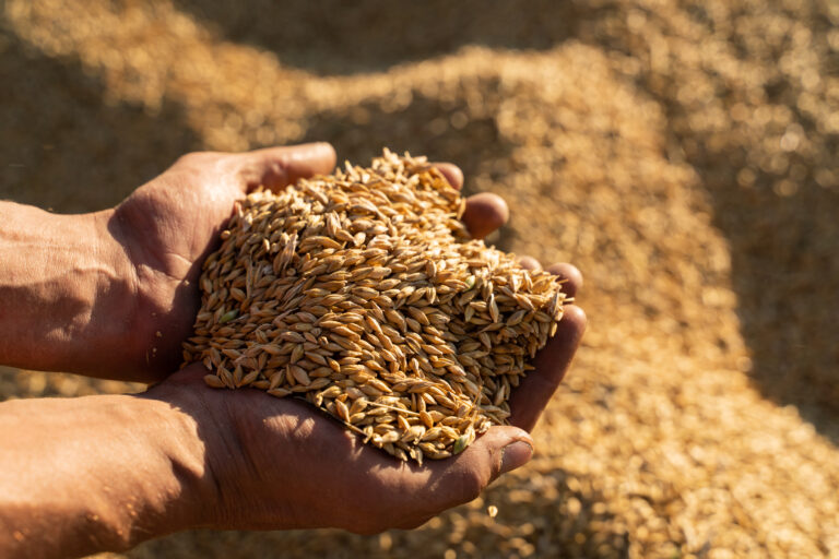 Boortmalt enters a ground breaking carbon reduced malting barley supply agreement with Cefetra Ltd to bring investments to regenerative farmers