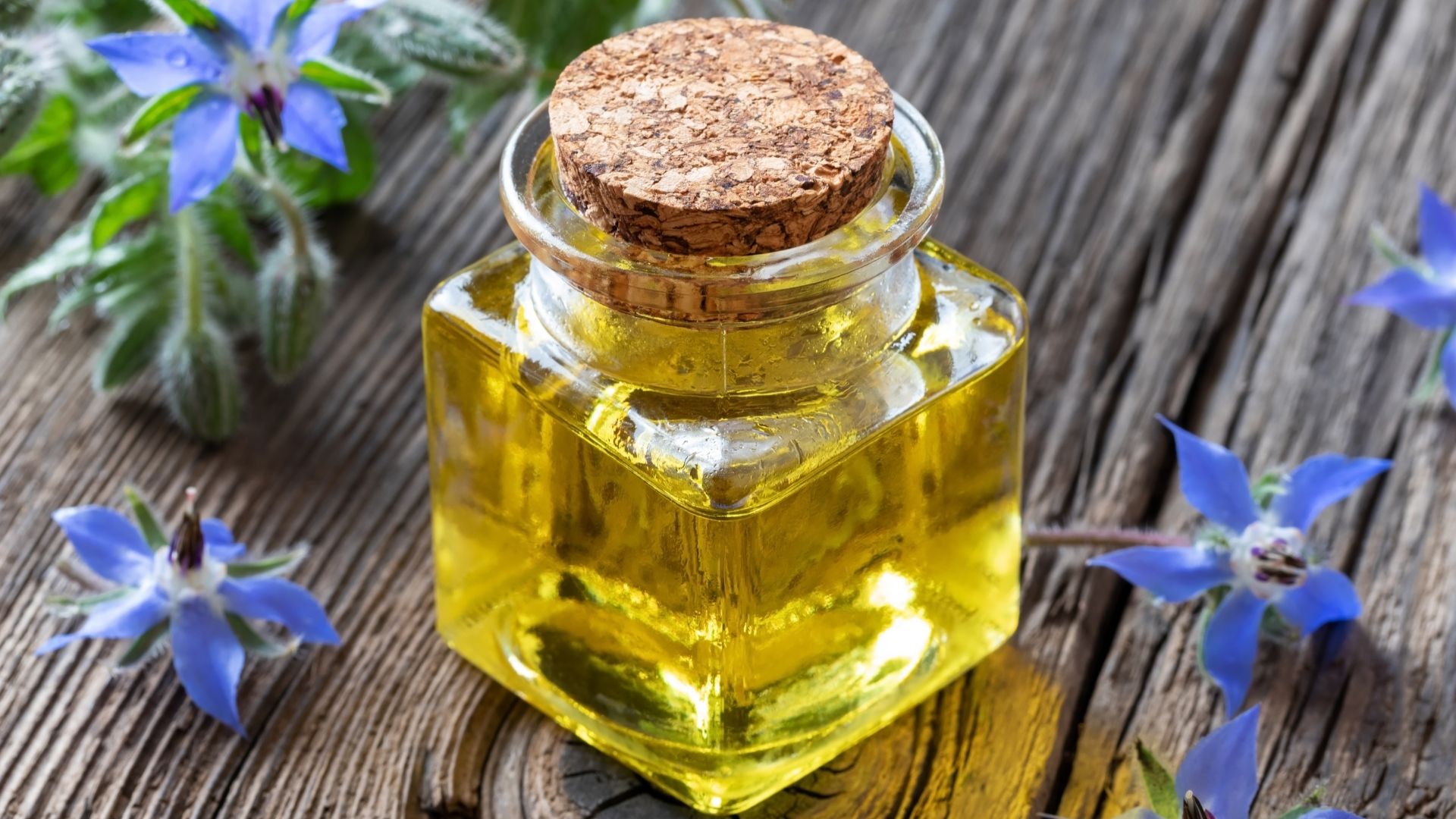 Organic certifications for Cefetra Premium Oils