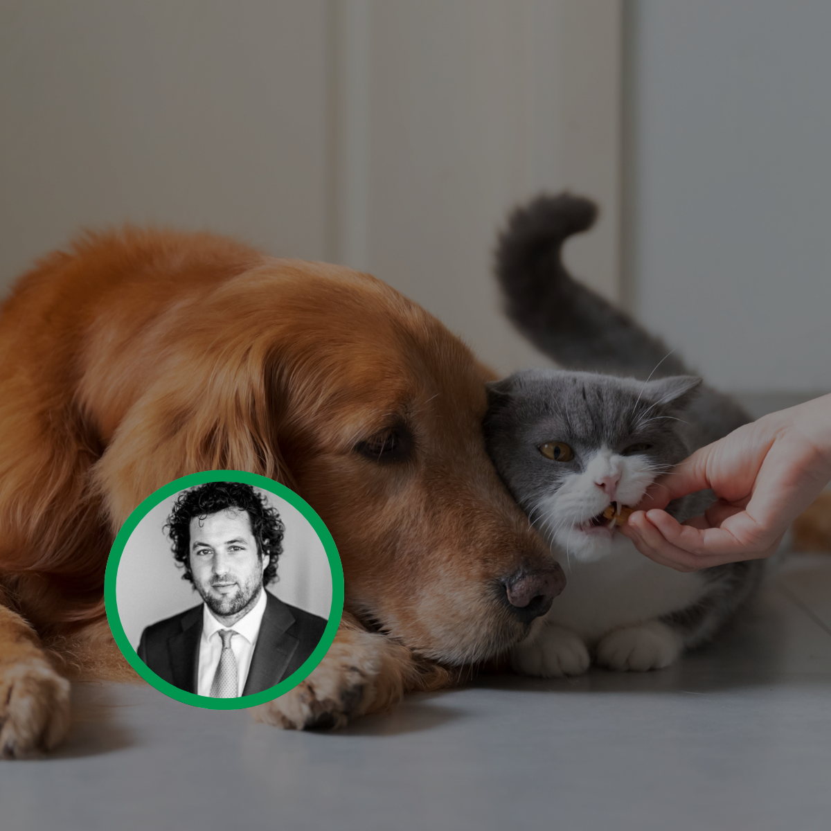 Meet Martijn van den Oever – Driving petfood innovation at Cefetra Group