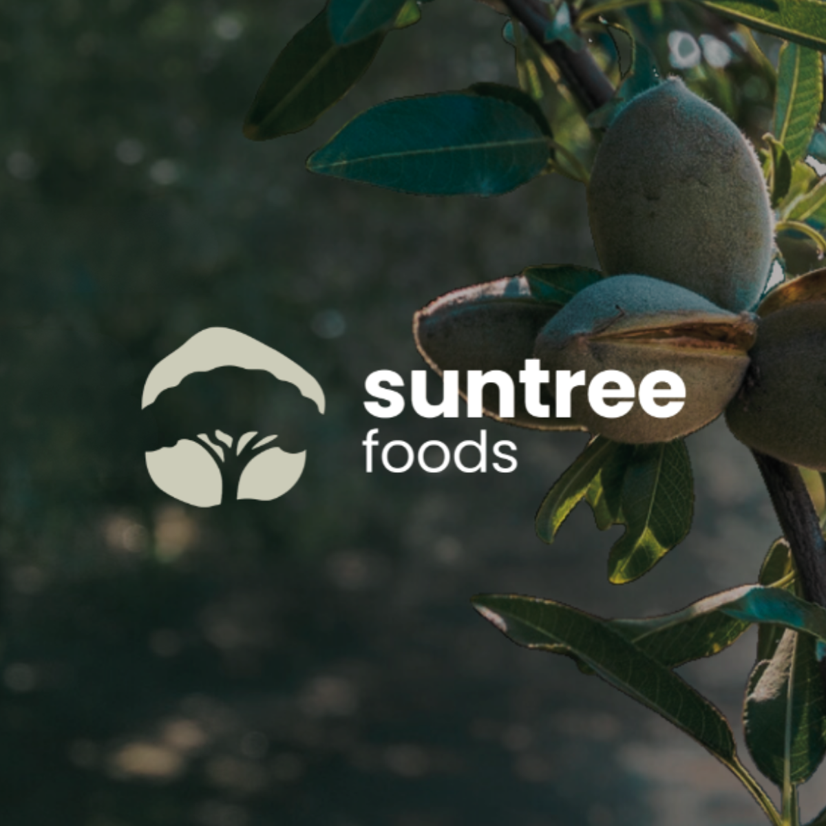 Introducing Suntree Foods