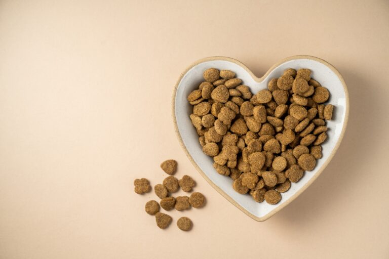 Pet,Food.,Dry,Cat,Food,In,Heart,Shaped,Bowl.,Nutrition