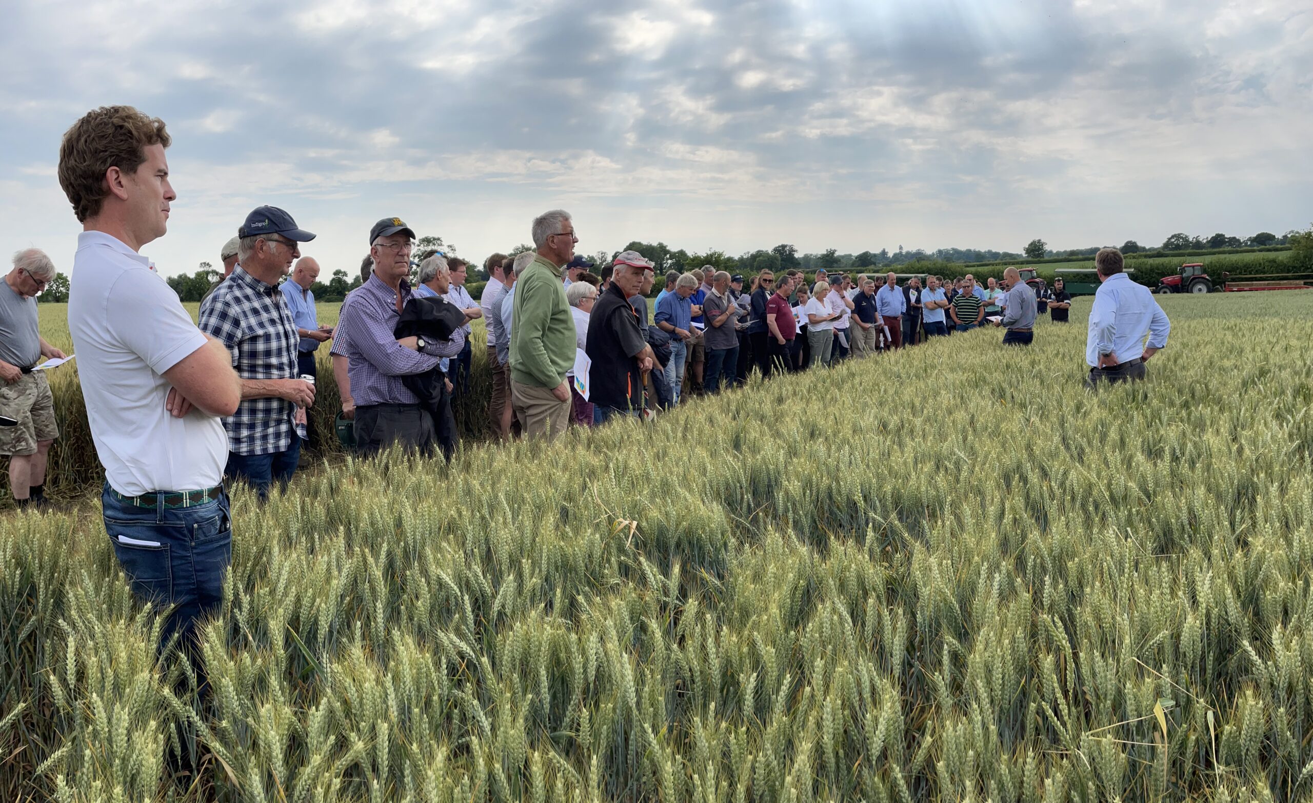Crop Marketing Groups website live!