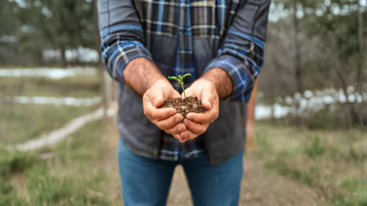 Cefetra Group announcement