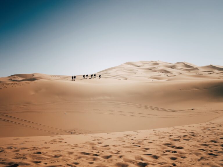 Competitors,In,The,Marathon,Des,Sables,Traverse,A,Sahara,Desert