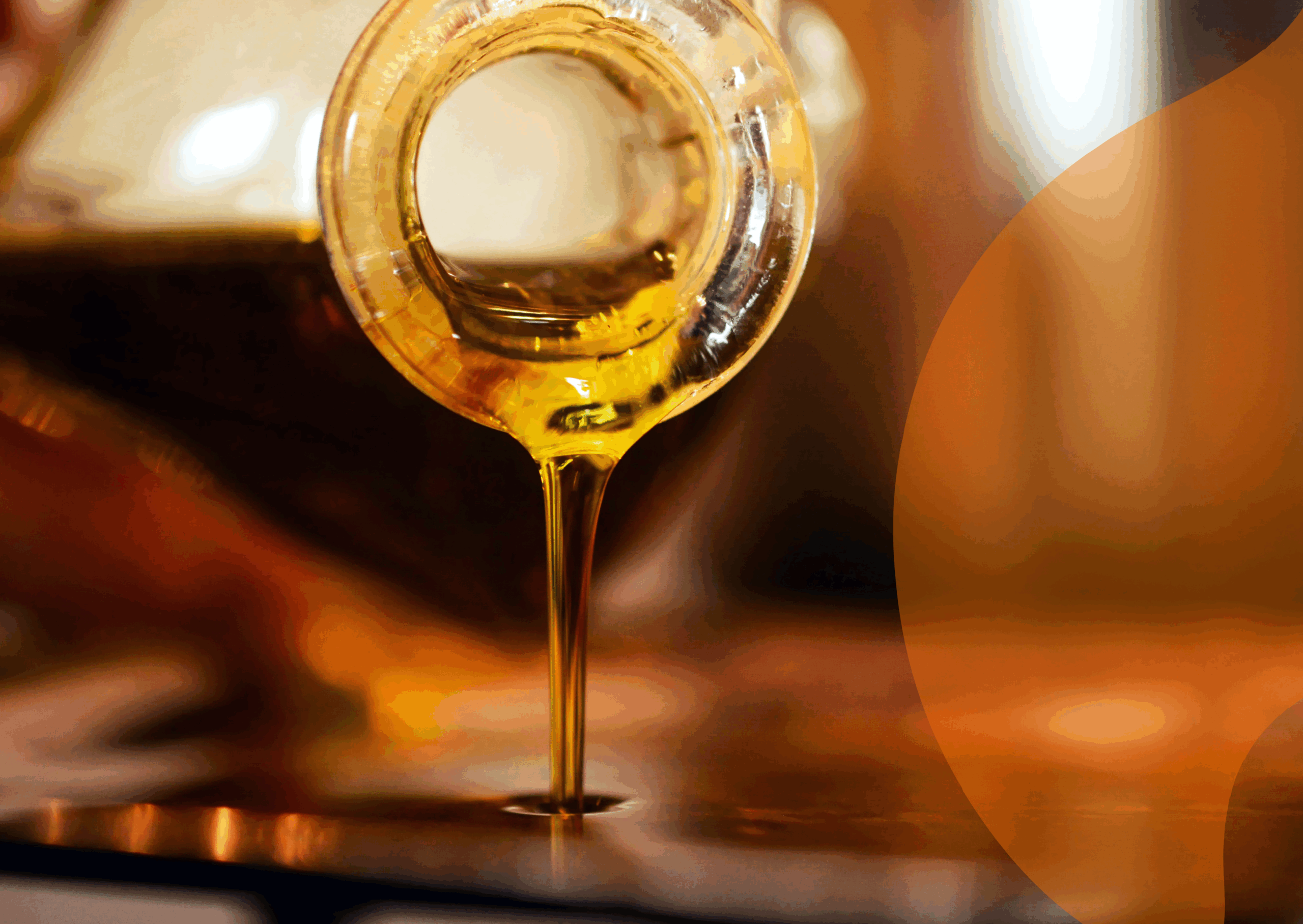 Quality Explained: How we make refining safe – Risk management of 3-MCPD & GE in Vegetable Oils