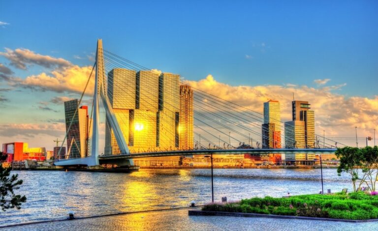 Cefetra customer event Rotterdam