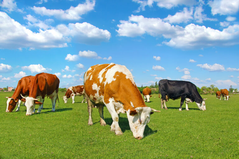 Meet Us at AgriScot 2024