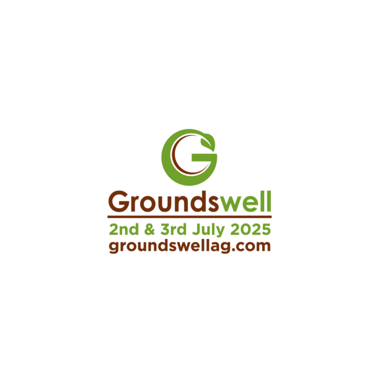 Groundswell 2025