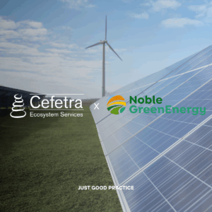 Logo of Cefetra Ecosystem Services and Noble Green Energy to represent the partnership. In the background there is a solar panel and grass
