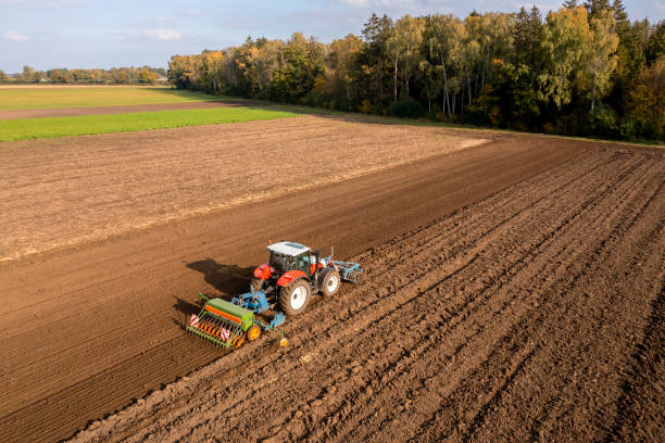 Lincs Committee Meeting/10th November 2026